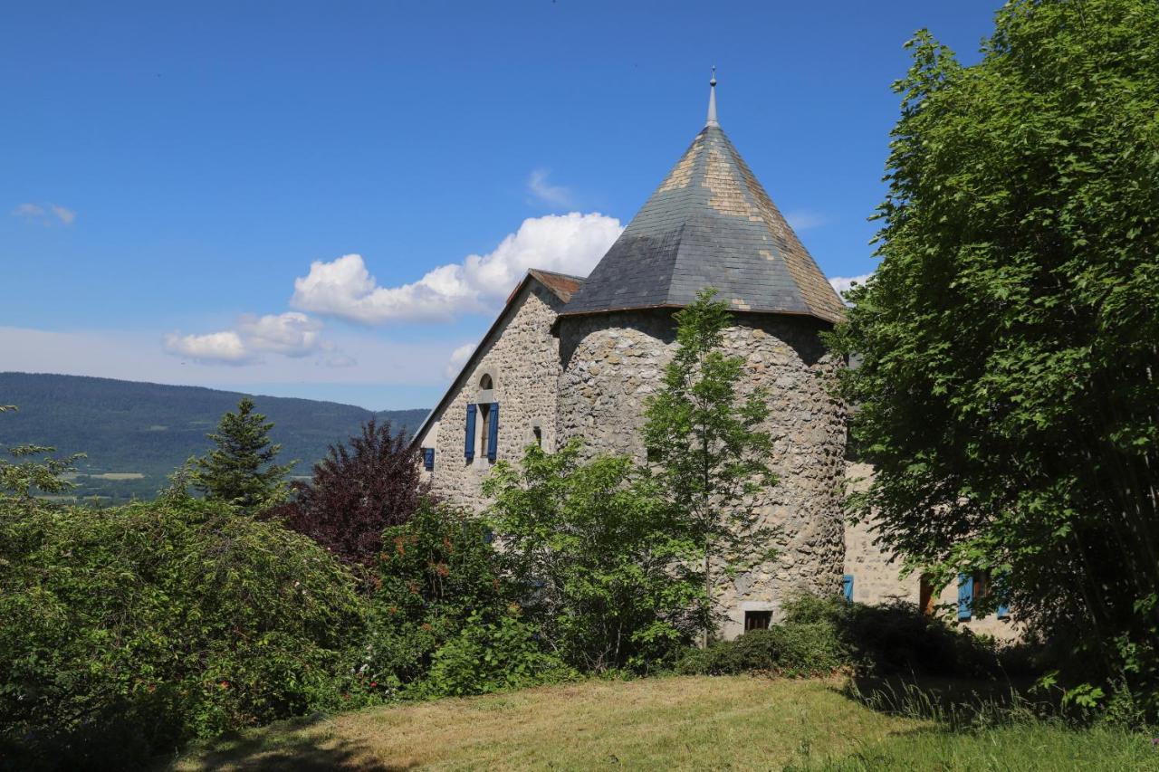 Château de Sothonod Extérieur photo