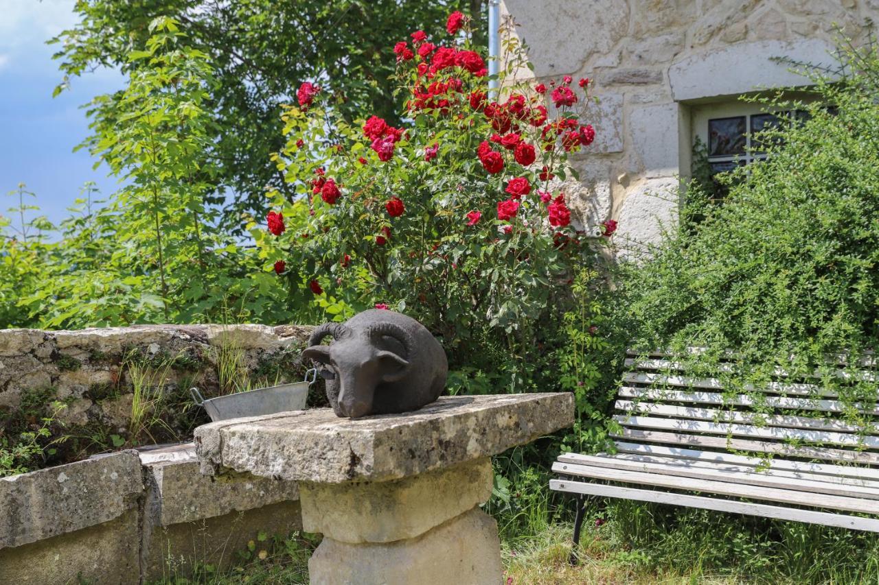 Château de Sothonod Extérieur photo